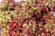 China: Grapes for sale in a market in Hami (Kumul), Xinjiang Province